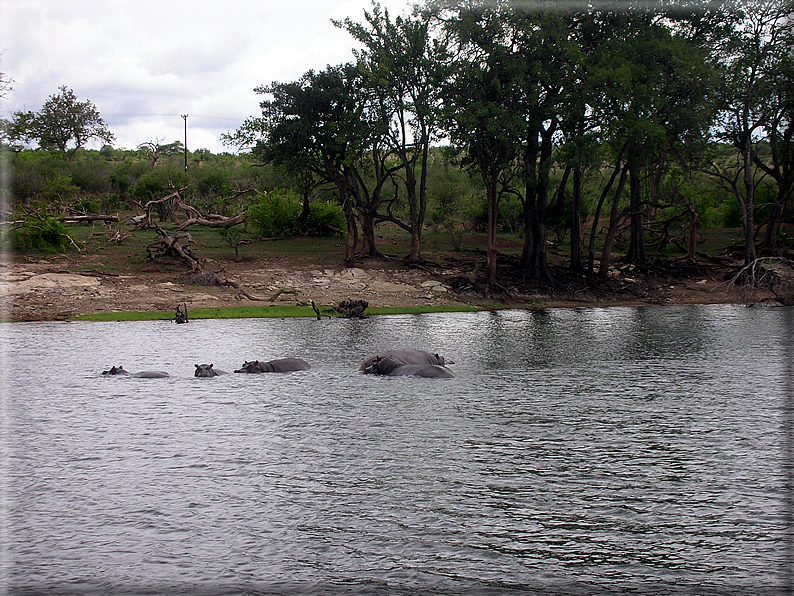 foto Parco nazionale del Chobe